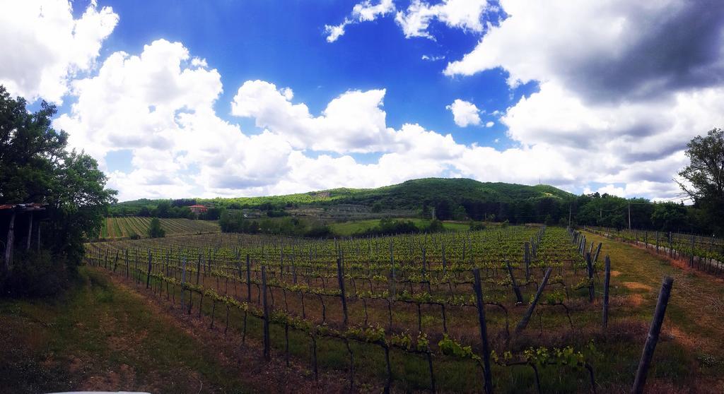 아레초 Agriturismo La Cella 빌라 외부 사진